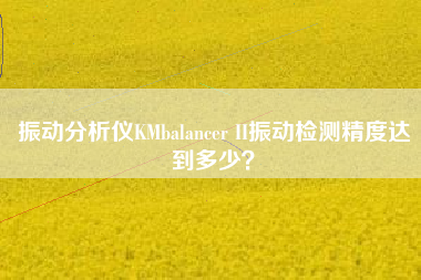 振動(dòng)分析儀KMbalancer II振動(dòng)檢測(cè)精度達(dá)到多少？