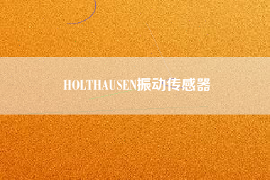 HOLTHAUSEN振動傳感器