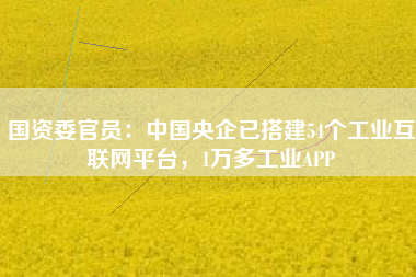 國(guó)資委官員：中國(guó)央企已搭建54個(gè)工業(yè)互聯(lián)網(wǎng)平臺(tái)，1萬(wàn)多工業(yè)APP